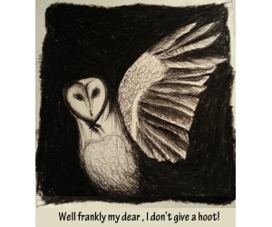 Frankly my dear, I don't give a hoot! Print